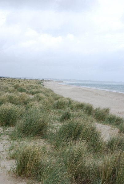 File:Dunes and beach of Studland Bay - geograph.org.uk - 431880.jpg