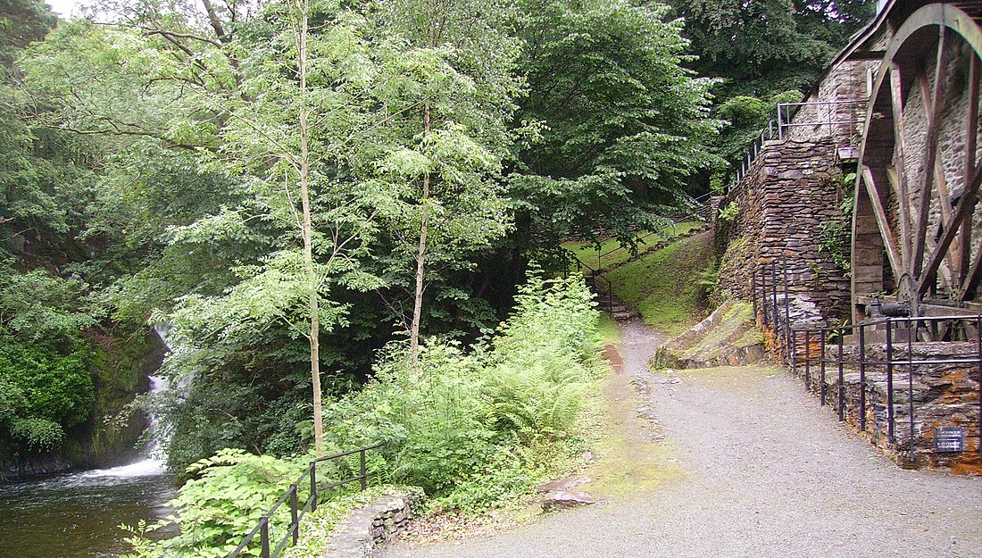 Dyfi Furnace