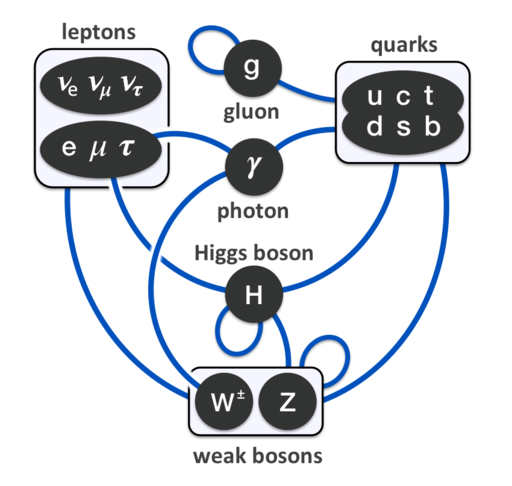 Elementary particle interactions in the Standard Model