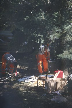 Clining-up by the rattletraps waste removal service Budapest, Hungary