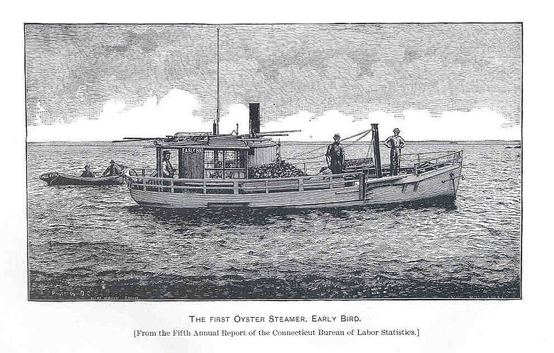 File:FMIB 34181 First Oyster Steamer, Early Bird.jpeg