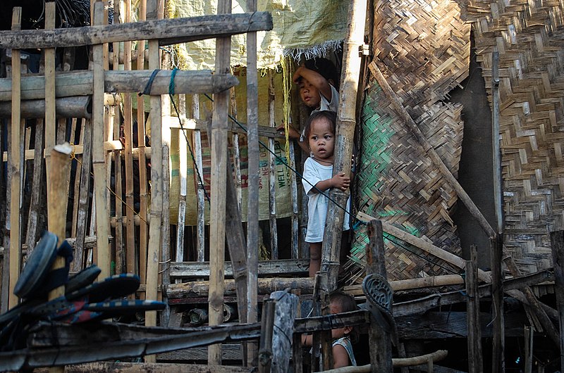 File:FMSC Distribution Partner - Philippines (9185694624).jpg