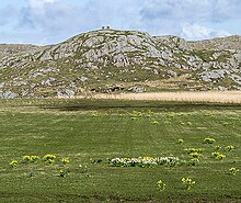 Fotografie a landului de pe Coll