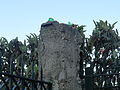 Fence with bottles, Palermo, Italy (9451168090).jpg