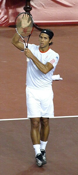 صورة:Fernando Verdasco crop.JPG