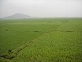 Field in Hong Linh Province.JPG