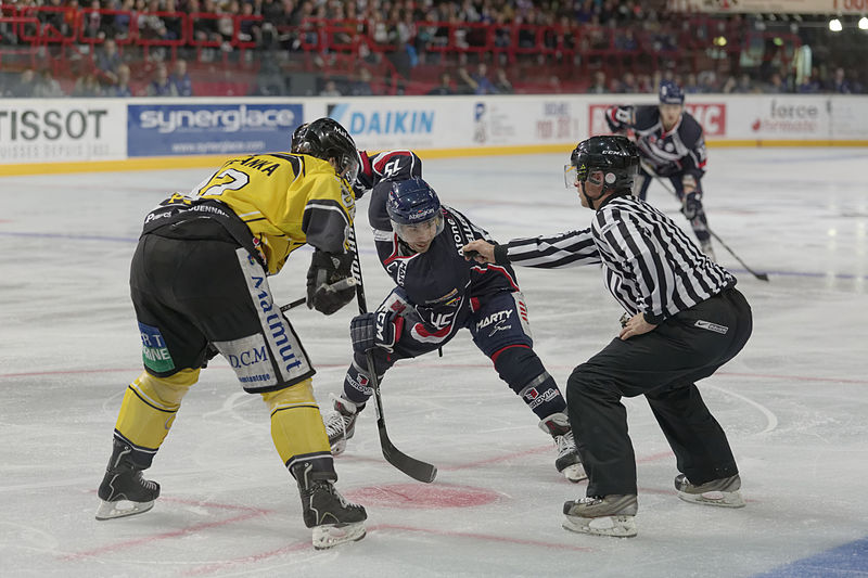 File:Finale de la coupe de France de Hockey sur glace 2014 - 036.jpg