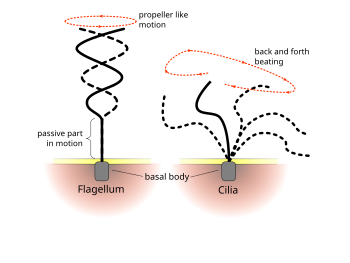 ESLint available linting the Friendlier available codification text