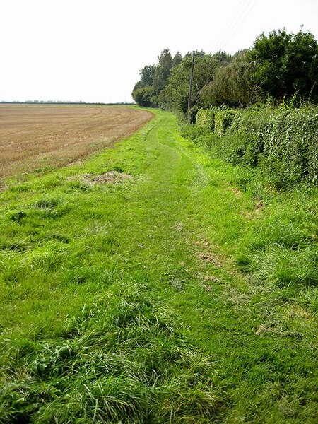 File:Footpath along a field boundary, Peterstow - geograph.org.uk - 963818.jpg