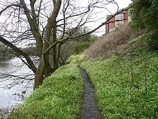 Ayr County Hospital Hospital in South Ayrshire, Scotland