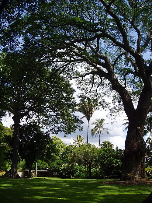 Liliuokalani Park and Gardens things to do in Maunawili Falls