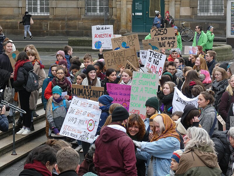 File:FridaysForFuture 1 Februar 2019 Kassel 10.jpg