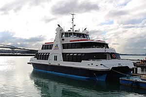 Fullers Ferry Kea.jpg