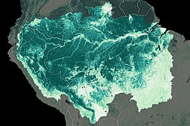 Oct 9 (2): Biomass Density in South America