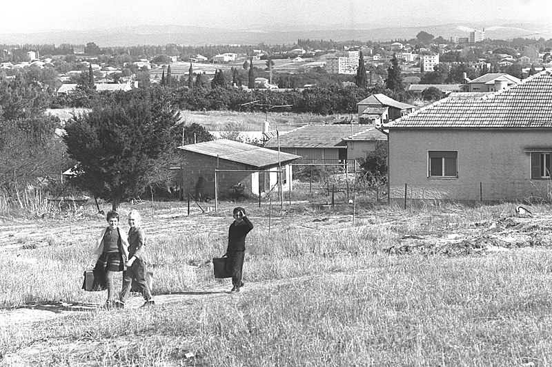 File:General View of Raanana 1964.jpg