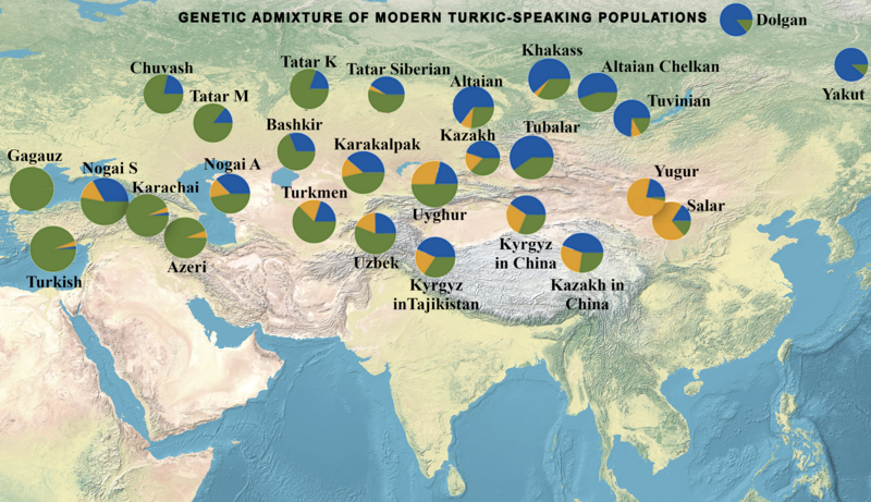 File:Genetic admixture of modern Turkic-speaking populations (with population names).png