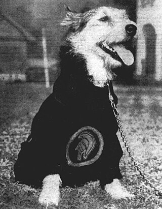 <span class="mw-page-title-main">George Tirebiter</span> Former canine mascot of the University of Southern California