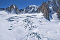 Glacier du Mont Mallet (Glacier du Géant) & Mont Blanc, 2010 July.jpg