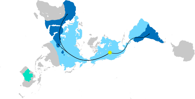 Description de l'image Global Camelid Distribution and Migration.svg.