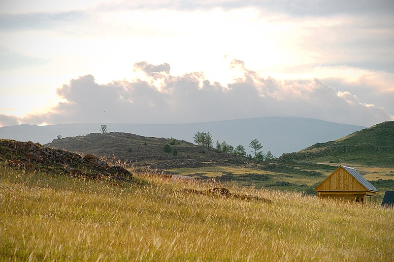 File:Golden Grass Blades (79494687).jpeg