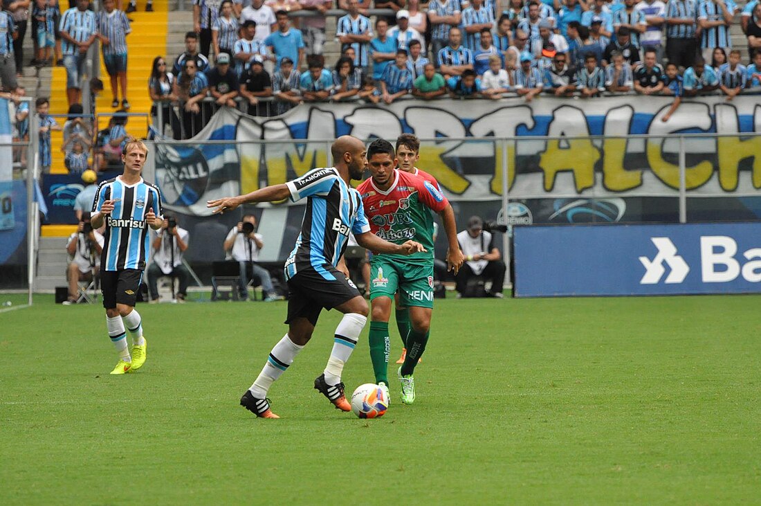 Campeonatos estatales de fútbol de Brasil