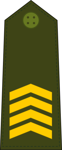 File:Guinea-Bissau-Army-OR-6.svg