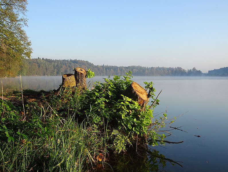 File:Höllerersee im Oktober (4).jpg