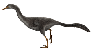 Life restoration of Halszkaraptor