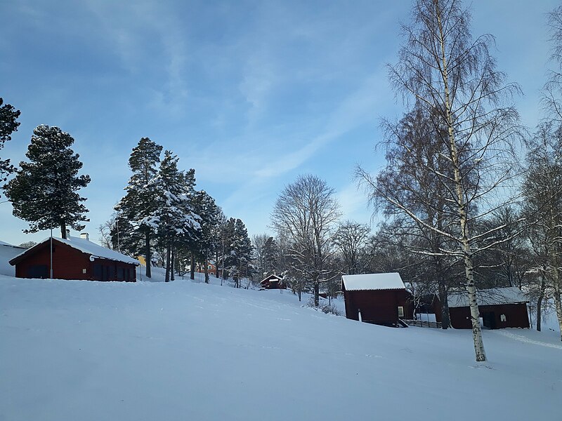 File:Hedemora gammelgård 2018-02-09 03.jpg