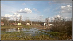 High groundwater, Téglás, Hungary - panoramio (1).jpg