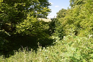 Hill End Pit Nature reserve in North Hertfordshire