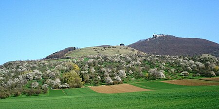 Hohenbol und Teckberg