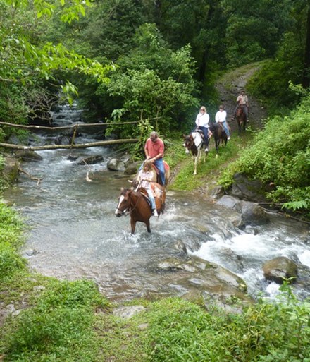 Horseback Riding in the Mountains of Boquete