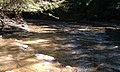 Hunters Creek in Spring - panoramio.jpg