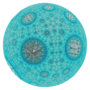 Thumbnail for File:Hyperbolic honeycomb 5-3-7 poincare.png