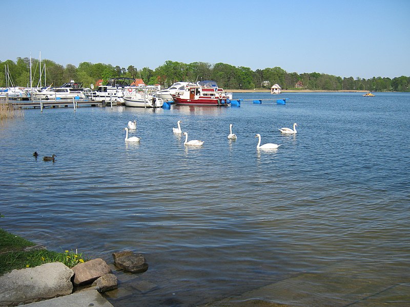 File:Im Hafen von Bad Saarow April 2012 - panoramio.jpg