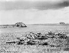 Tanks et fantassins près de Beauquesne le 13 septembre 1918.