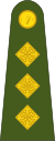Ирландия-Армия-OF-2.svg