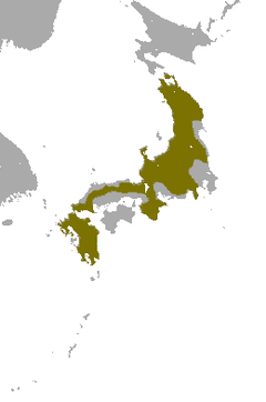 Japanese Water Shrew area.png
