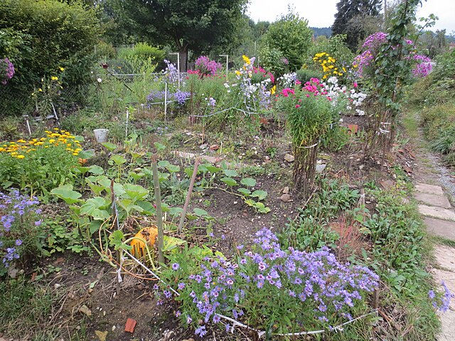 Jardin potager