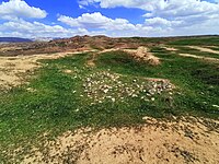 Jarmo, March 2021. Remains of the 1948-1955 excavations conducted by the Oriental Institute