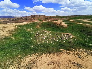 Jarmo (Qal'at Jarmo), late 8th century BCE to late 6th century BCE. Sulaymaniyah, Iraq, March 2021. Aftermaths of 1948-1955 excavations conducted by the Oriental Institute of Chicago.jpg