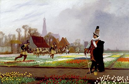 Жан-Леон Жером ілюструє (1882) інцидент під час тюльпаноманії: дворянин охороняє поле, поки солдати топчуть квітники, щоб обмежити поставки тюльпанів.