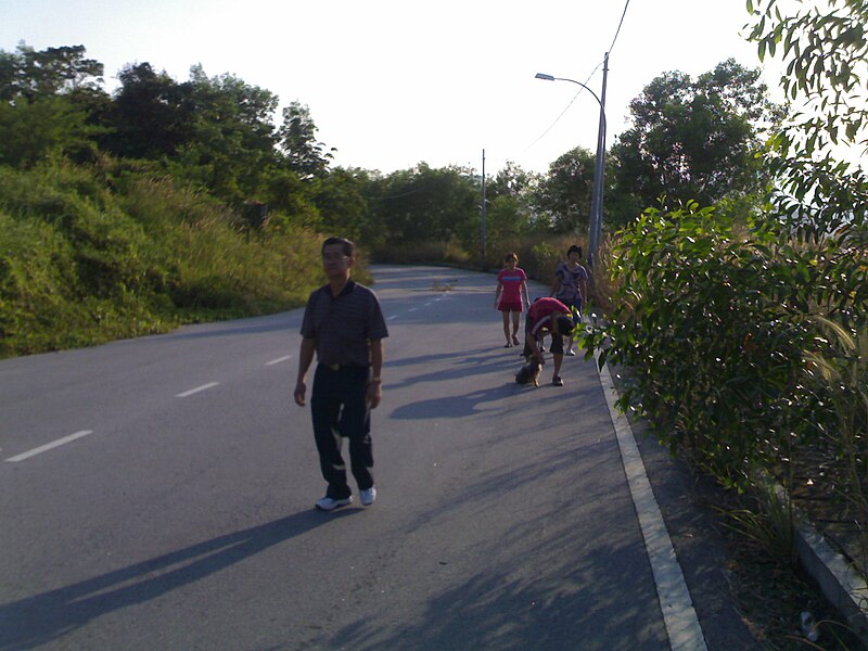 File:Joggers at Cangkat Sungai Ara.jpg