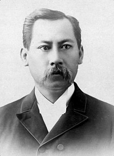 John Ena Jr. Hawaiian business magnate and politician (1845–1906)