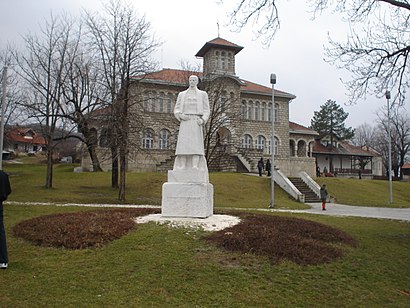 Kako doći do Orasac pomoću gradskog prevoza - O mestu