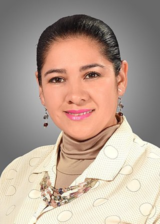 <span class="mw-page-title-main">Kary Mariscal</span> Bolivian politician (born 1976)