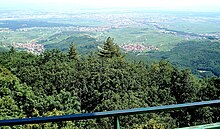 Vue depuis le sommet du Galtz, regard vers l’est. À gauche, le village de Katzenthal, reconnaissable à son svelte clocher blanc. Au loin, la plaine d’Alsace, où s’étale l’agglomération de Colmar.