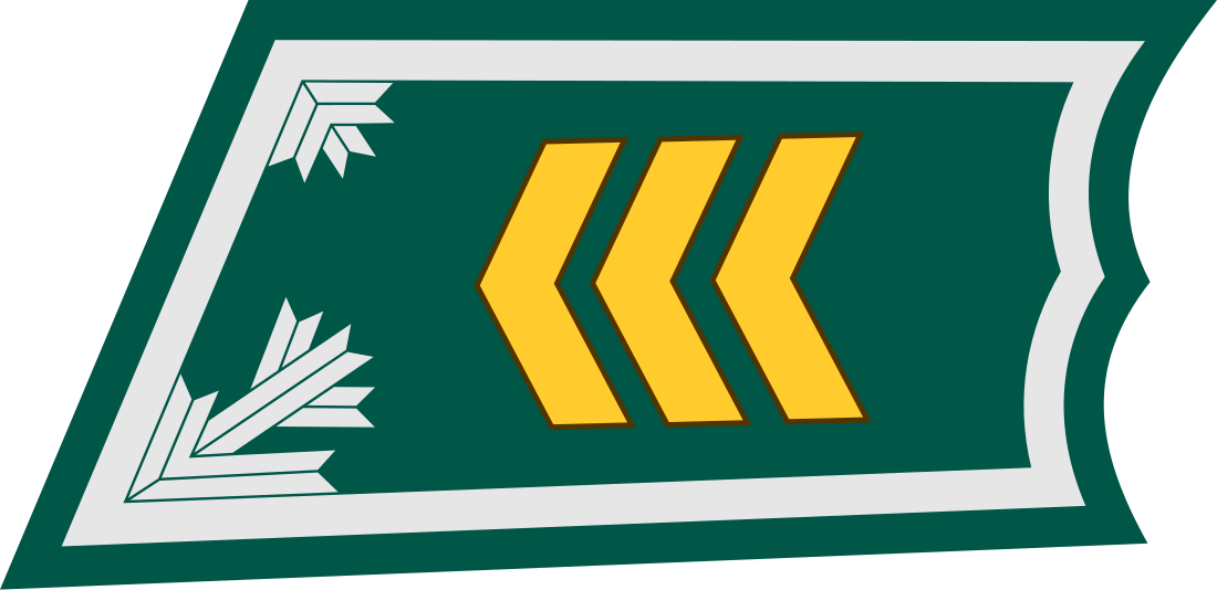 Sergeant (Sweden and Finland)