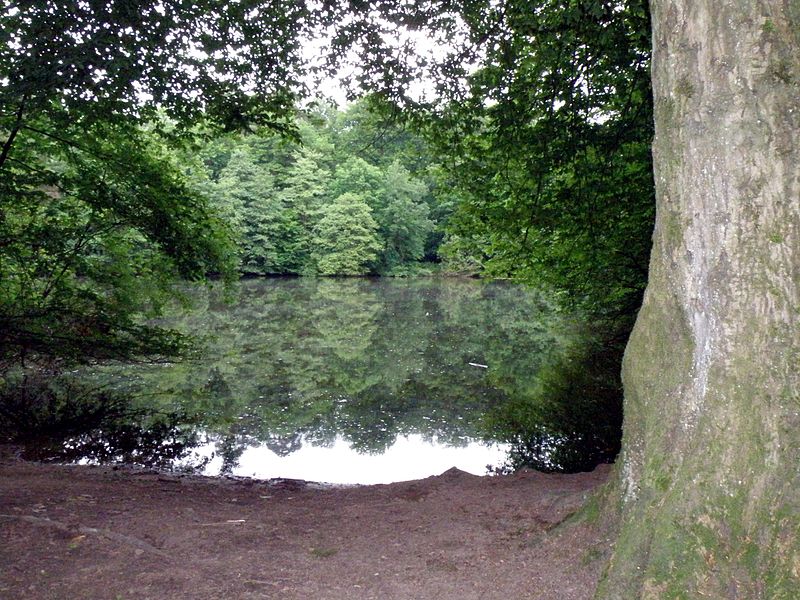 File:Kettners Weiher.jpg